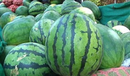 如何判断吃瓜爆料的真假,如何辨别真伪，守护网络信息安全