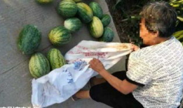 漳浦吃瓜最新事件爆料,揭秘背后惊人真相